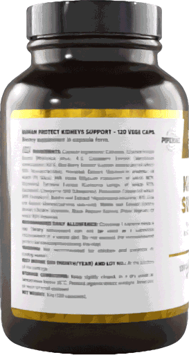 Human Protect Kidneys Support Dose mit 120 Kapseln, Etikett teilweise sichtbar